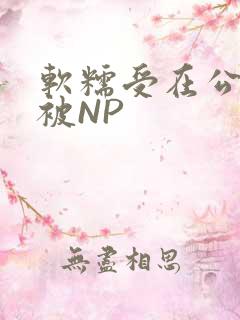 软糯受在公交车被NP