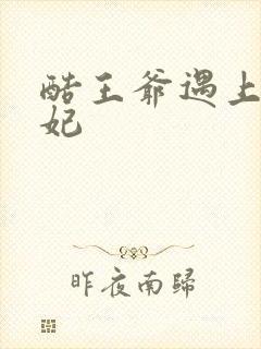 酷王爷遇上穿越妃