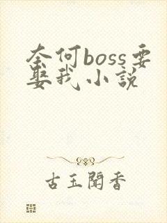 奈何boss要娶我小说