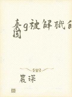 秦g被解职的原因