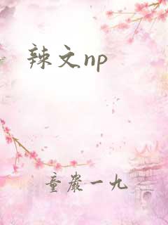 辣文np