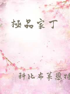 极品家丁