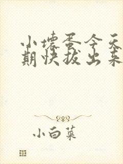 小坏蛋今天危险期快拔出来