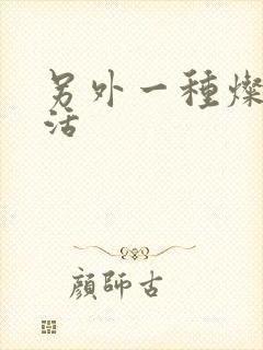 另外一种灿烂生活