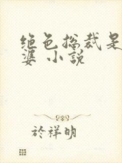 绝色总裁是我老婆 小说