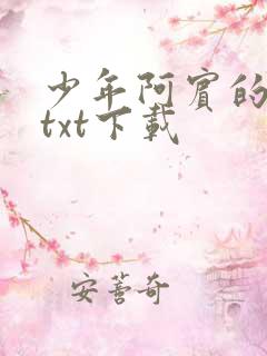 少年阿宾的故事txt下载