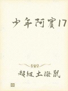 少年阿宾17