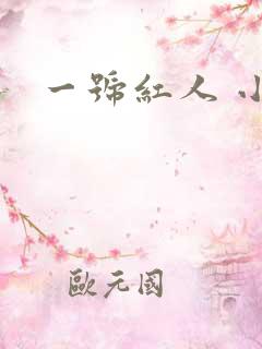 一号红人 小说