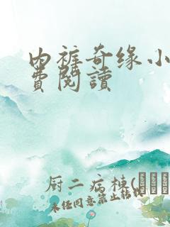 内裤奇缘小说免费阅读