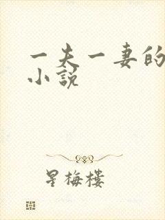 一夫一妻的玄幻小说