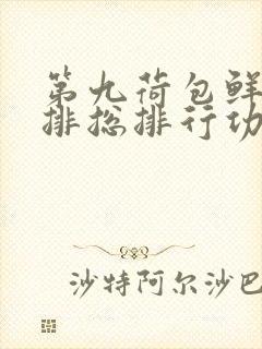 第九荷包鲜辣肉排总排行功能介绍