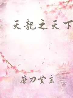 天龙之天下有我