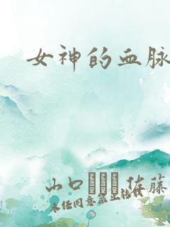 女神的血脉