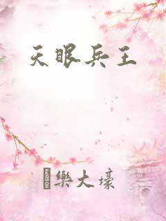 天眼兵王