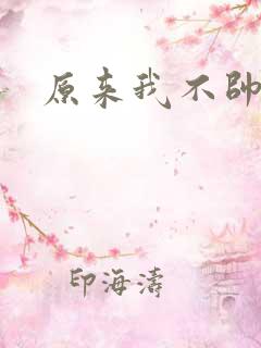 原来我不帅小说