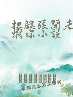 把腿张开老子臊烂你小说