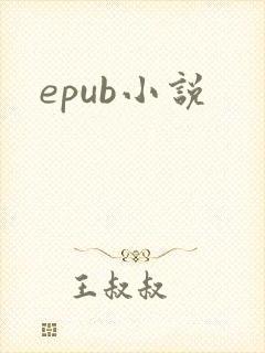 epub小说