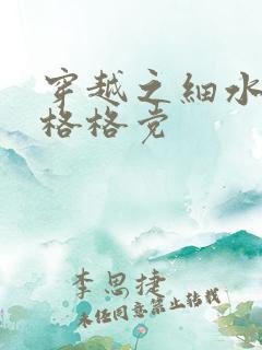 穿越之细水长流格格党