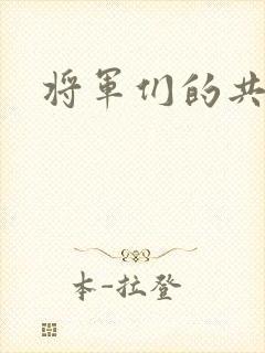 将军们的共妻H