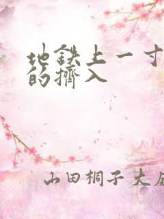 地铁上一寸一寸的挤入