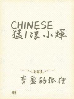CHINESE猛1浪小辉