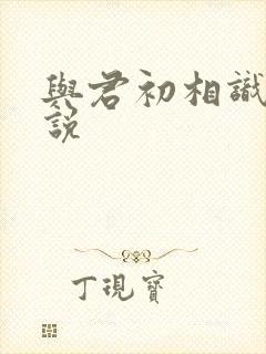 与君初相识 小说