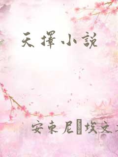 天择小说