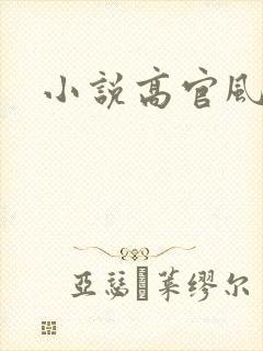 小说高官风流