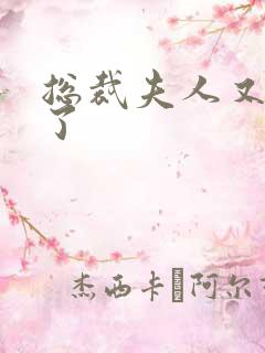 总裁夫人又征婚了