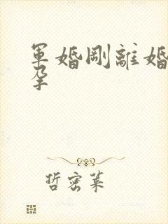 军婚刚离婚就怀孕