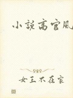 小说高官风流