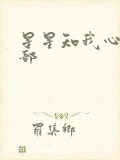 星星知我心第二部