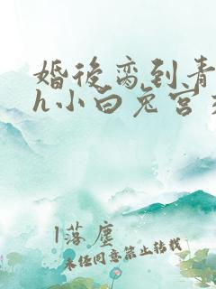 婚后脔到青梅哭h小白兔宫交h