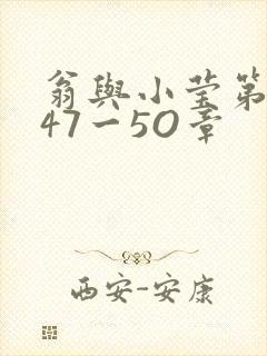 翁与小莹第十部47一5O章