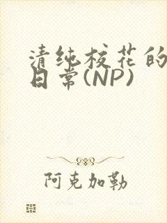 清纯校花的被肉日常(NP)