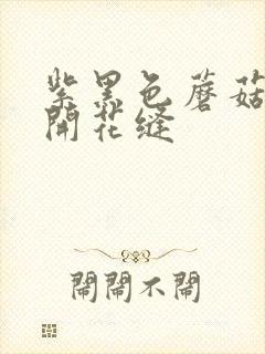 紫黑色蘑菇头顶开花缝