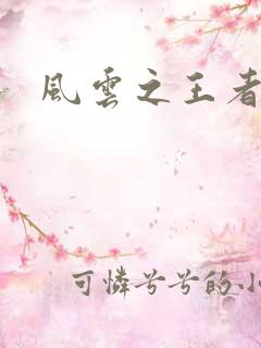 风云之王者人生