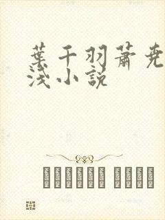 叶千羽萧尧白清浅小说