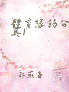 体育队的公用玩具1