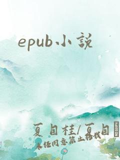 epub小说
