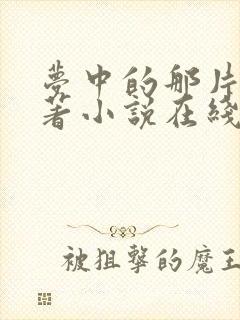 梦中的那片海原著小说在线阅读