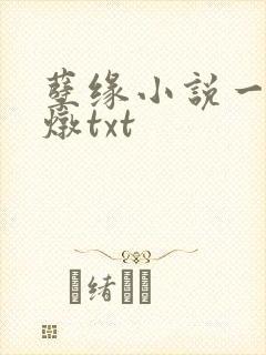 孽缘小说一家乱炖txt