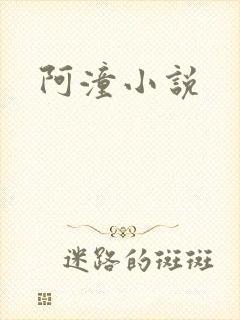 阿潼小说