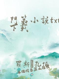 门第小说txt下载