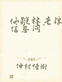 仙踪林老狼贰佰信息网