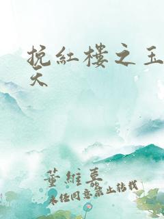 挽红楼之玉舞九天