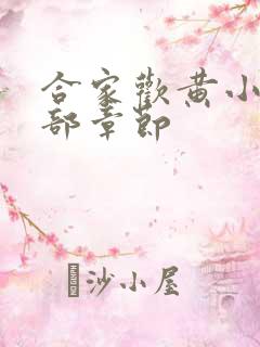 合家欢黄小梅全部章节