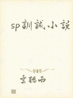 sp训诫小说