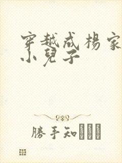 穿越成杨家将最小儿子