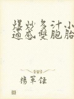 爆炒多汁小美人通感双胞胎燎锋